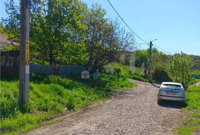 Teren de 7009 mp, în Ciurbești - 4