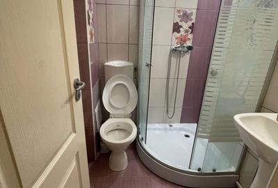 Garsonieră semidecomandată în Pantelimon - 8