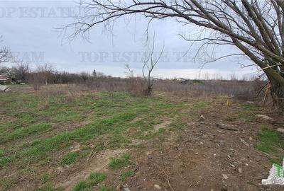 Teren Construcții intravilan de 1171 mp, în Palanca - 1