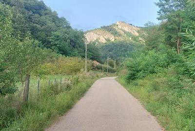 Teren de 7000 mp, în Voia - 4