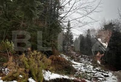 Teren de 4000 mp, în Calea Moroieni - 3