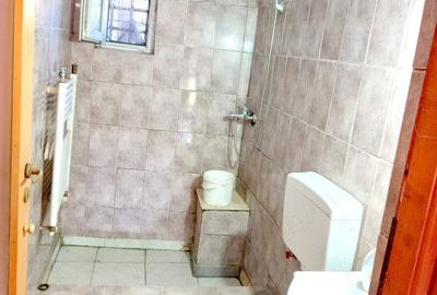 Cazare muncitori zona cuntz, paralela cu buziasului - 4