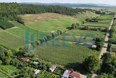 Teren intravilan de vanzare, Sat Bogdan?ti, Com. Traian - 10