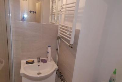 Apartament cu 2 camere semidecomandat, mobilat în Andrei Mureșanu - 8