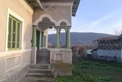 Casă cu 5 camere cu Teren 4443 Mp în Nicolae Bălcescu - 4