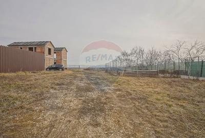 COMISION 0% Casa Individuala La Rosu cu teren de 4000 mp in Crizbav - 13