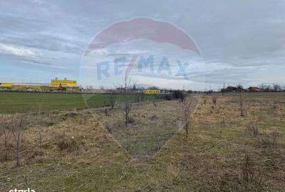 Spațiu comercial, în Nord - 4