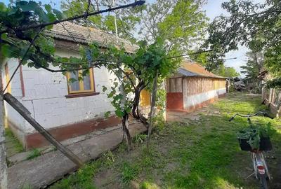 Casă cu 2 camere cu Teren 1282 Mp în Mihăilești - 5