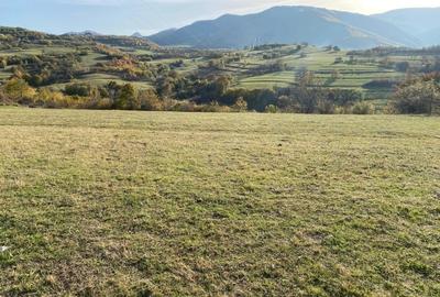 Teren Construcții extravilan de 972 mp, în Rășinari - 2