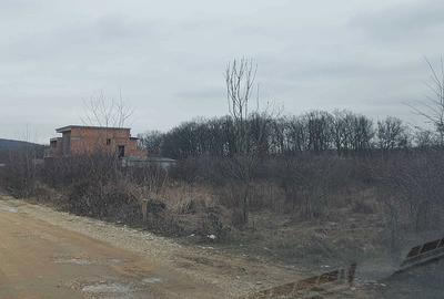 Spațiu comercial, în Smeura - 2