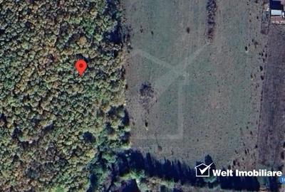 Teren extravilan de 3300 mp, în Sălicea