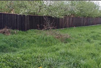 Teren 1000mp Prejmer - 1