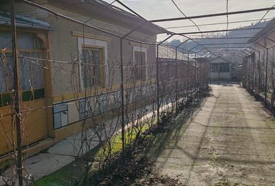 Casa com Hotarele - 9