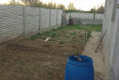 Casă cu 2 camere cu Teren 110 Mp în Lumina - 3