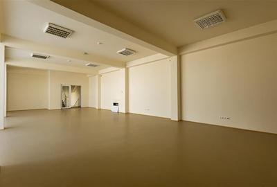 Edificu: Birouri, Centru medical/ comercial acces facil, componenta si dotari ap - 27
