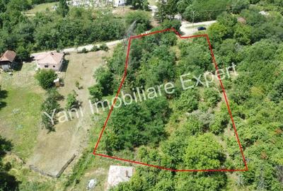Teren de vanzare in comuna Baicule?ti, jude? Arge?. - 6