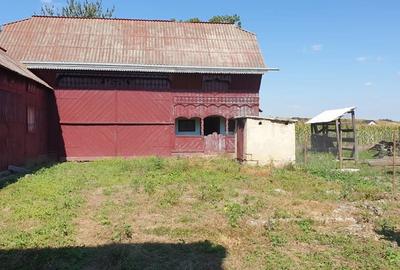 Casă cu Teren 2500 Mp în Central - 1