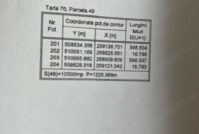 Teren în Furculești - 3