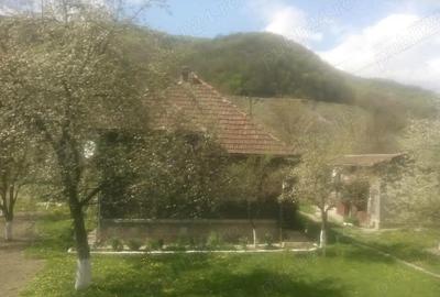 Casă cu 3 camere în Criș - 5