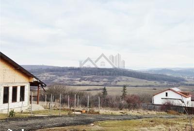 Teren de 493 mp, în Ciurea - 3