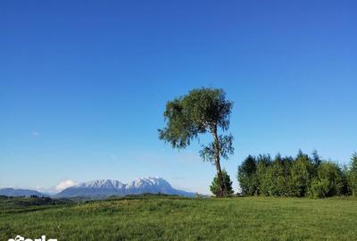 Teren de 7770 mp, în Holbav - 3