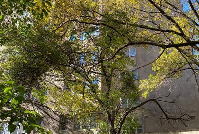 Garsoniera Timonierului 31mp | 2 min de Metrou | Mobilata si Utilata Lux Garsoniera Timonierului 31mp | 2 min de Metrou | Mobilata si Utilata Lux - 6