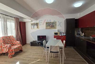 Apartament cu 3 camere semidecomandat, mobilat în Snagov - 6