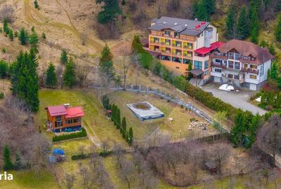 Spațiu comercial, în Satulung - 11