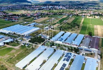 Teren Intravilan - Gilau - Autorizatie Construire Hale - 4