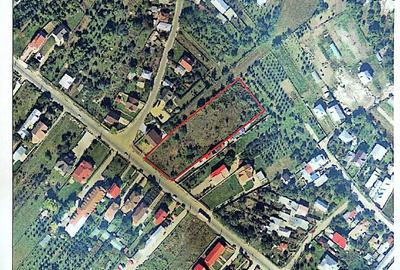 Teren de 5087 mp, în Răzvad - 2