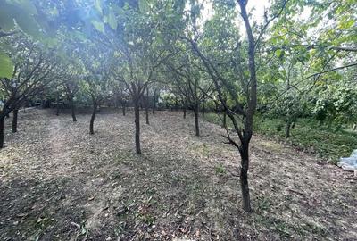 Teren intravilan de vanzare, 900 mp, Dej - 10