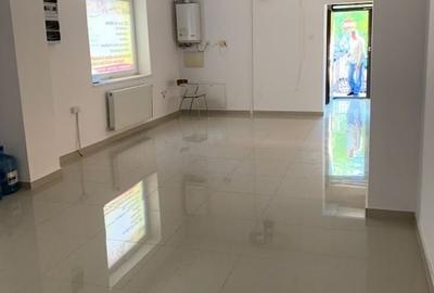 CASA INDIVIDUALA - Scriitorilor - 2