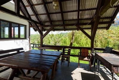 Pensiune:3 km de Castelul Bran,2.900mp teren,piscina,ciubar,teren sport,aviz ISU - 6