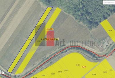 Teren de 6100 mp, în Cosoba - 5