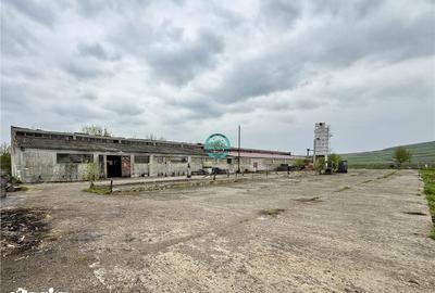 Spațiu comercial, de 630 mp, în Gornești - 6