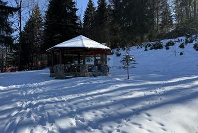 Cabana in inima muntilor, langa partia de schi din Borsa, teren 2200mp - 17