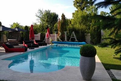 VILA SNAGOV WATERFRONT - PISCINA - PONTON 40M DESCHIDERE LA LAC - 3