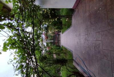 Casă cu Teren 1172 Mp în Corbeanca - 2