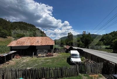 Casa cu 6000 mp teren, Poiana Ampoiului - Metes - 8