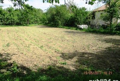 Teren de 1270 mp, în Drajna - 3