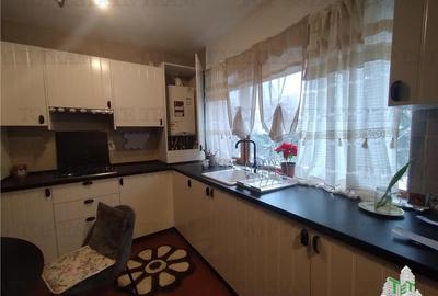 Duplex cu 4 camere cu Canalizare în 1 Decembrie - 3