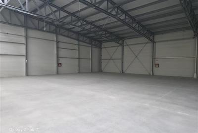 Spațiu industrial, de 1,500 mp, în Mogoșoaia - 24