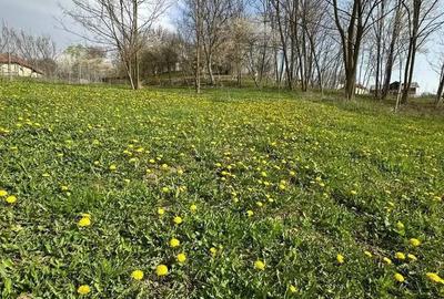 Teren de 3513 mp, în Vișinești - 2