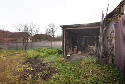 RECO Casa de vacanta la Holod- langa padure- teren 2190mp - 19