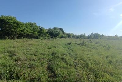 Teren de 4500 mp, în Bușag - 1