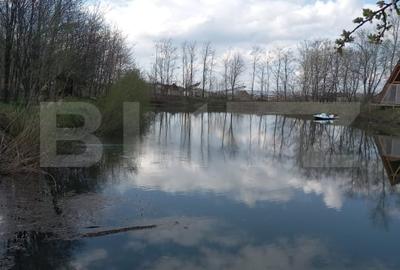 Teren cu iaz amenajat si doua cabane A-frame in constructie - 2