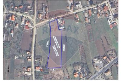 Teren Construcții intravilan de 6574 mp, în Leș - 1