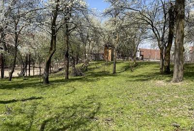 Teren de 989 mp, în Poplaca - 3