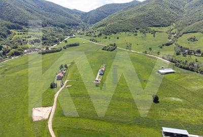 Teren cu peisaj spectaculos in Gura Raului - munte, aer curat, libertate - 15