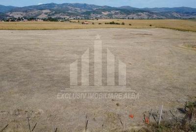 Teren pentru contructii industriale (hale, depozite), aproape de Sebes - 5